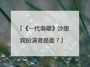 《一代枭雄》沙里宾扮演者是谁?