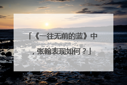 《一往无前的蓝》中，张翰表现如何？