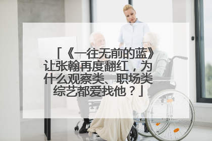 《一往无前的蓝》让张翰再度翻红，为什么观察类、职场类综艺都爱找他？