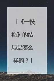 《一枝梅》的结局是怎么样的？