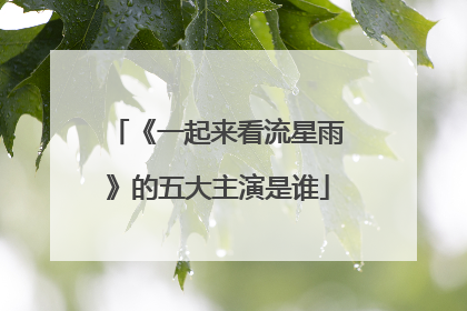 《一起来看流星雨》的五大主演是谁