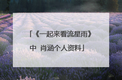 《一起来看流星雨》中 肖涵个人资料