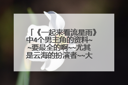 《一起来看流星雨》中4个男主角的资料~~要最全的啊~~尤其是云海的扮演者~~大神们帮帮忙