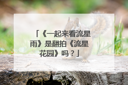 《一起来看流星雨》是翻拍《流星花园》吗？