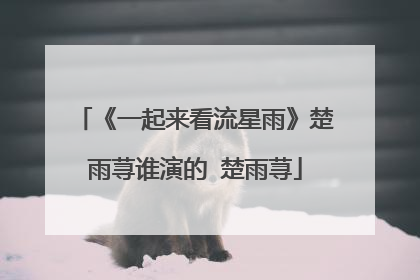 《一起来看流星雨》楚雨荨谁演的 楚雨荨