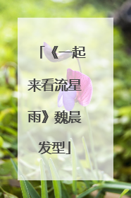 《一起来看流星雨》魏晨发型