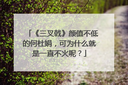 《三叉戟》颜值不低的何杜娟，可为什么就是一直不火呢？