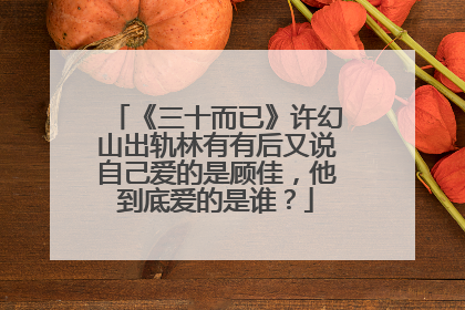 《三十而已》许幻山出轨林有有后又说自己爱的是顾佳,他到底爱的是谁?