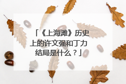 《上海滩》历史上的许文强和丁力结局是什么？