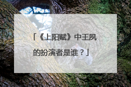 《上阳赋》中王夙的扮演者是谁?