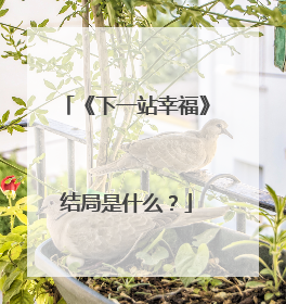 《下一站幸福》结局是什么？