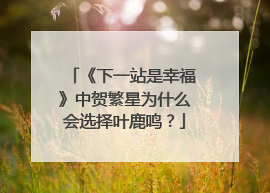 《下一站是幸福》中贺繁星为什么会选择叶鹿鸣？