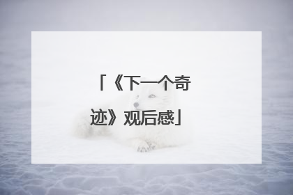 《下一个奇迹》观后感