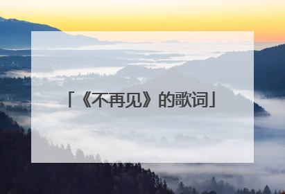 《不再见》的歌词