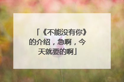 《不能没有你》的介绍，急啊，今天就要的啊