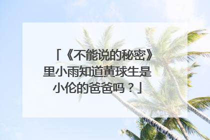 《不能说的秘密》里小雨知道黄球生是小伦的爸爸吗?
