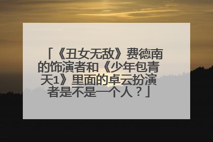 《丑女无敌》费德南的饰演者和《少年包青天1》里面的卓云扮演者是不是一个人?