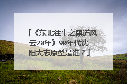 《东北往事之黑道风云20年》90年代沈阳大志原型是谁?
