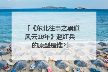 《东北往事之黑道风云20年》赵红兵的原型是谁?