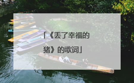 《丢了幸福的猪》的歌词