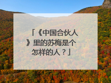 《中国合伙人》里的苏梅是个怎样的人？