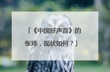 《中国好声音》的张玮,现状如何?