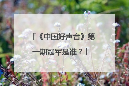 《中国好声音》第一期冠军是谁?