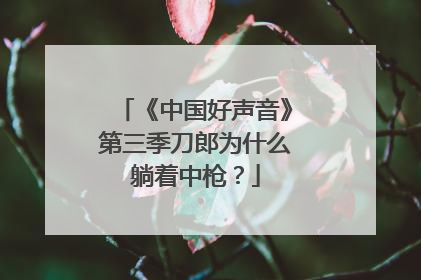 《中国好声音》第三季刀郎为什么躺着中枪?