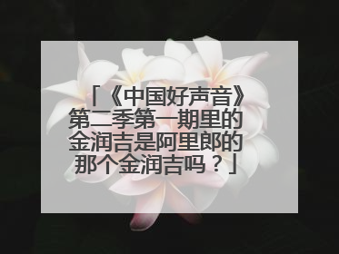 《中国好声音》第二季第一期里的金润吉是阿里郎的那个金润吉吗？