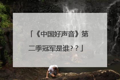 《中国好声音》第二季冠军是谁?？