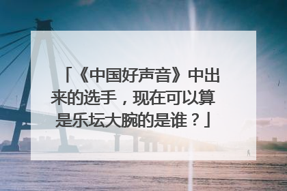 《中国好声音》中出来的选手，现在可以算是乐坛大腕的是谁？
