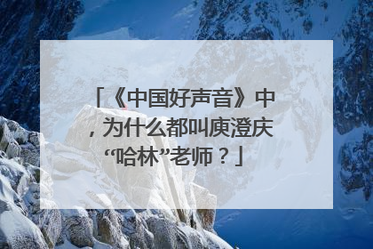 《中国好声音》中，为什么都叫庾澄庆“哈林”老师？