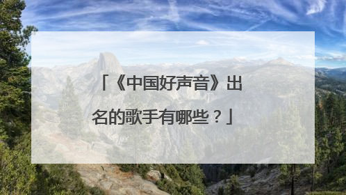 《中国好声音》出名的歌手有哪些？