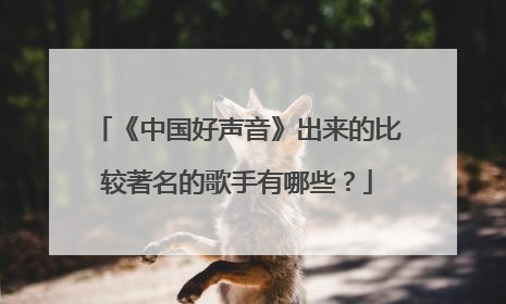 《中国好声音》出来的比较著名的歌手有哪些？