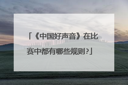 《中国好声音》在比赛中都有哪些规则?