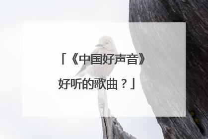 《中国好声音》好听的歌曲?