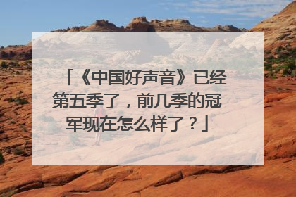 《中国好声音》已经第五季了，前几季的冠军现在怎么样了？