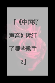 《中国好声音》捧红了哪些歌手?