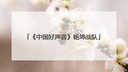 《中国好声音》杨坤战队