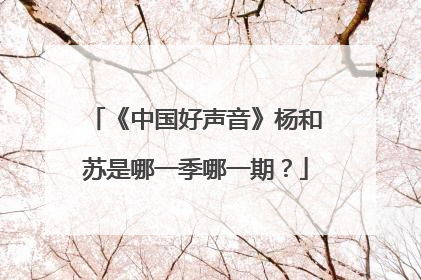 《中国好声音》杨和苏是哪一季哪一期?