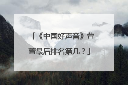 《中国好声音》萱萱最后排名第几?