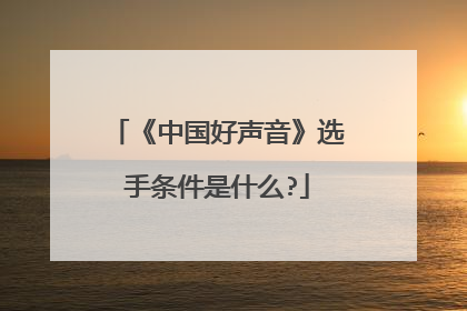 《中国好声音》选手条件是什么?