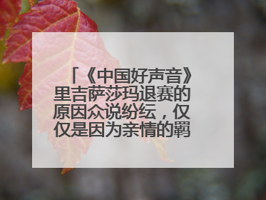 《中国好声音》里吉萨莎玛退赛的原因众说纷纭，仅仅是因为亲情的羁绊吗？