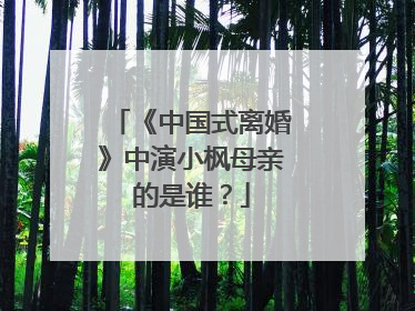 《中国式离婚》中演小枫母亲的是谁？