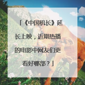 《中国机长》延长上映,近期热播的电影中网友们更看好哪部?