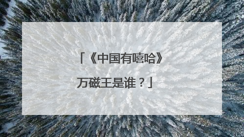 《中国有嘻哈》万磁王是谁?