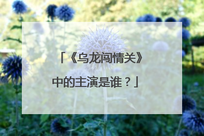 《乌龙闯情关》中的主演是谁？