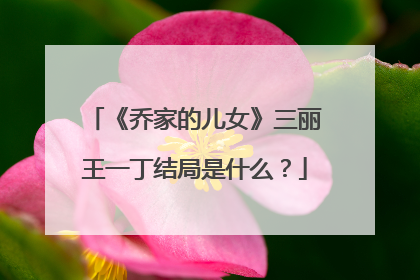 《乔家的儿女》三丽王一丁结局是什么？