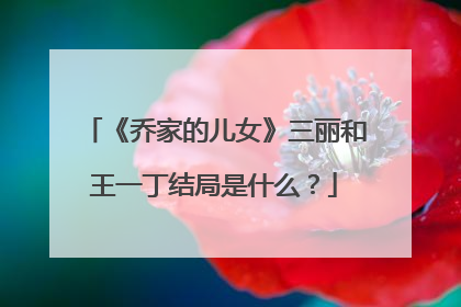 《乔家的儿女》三丽和王一丁结局是什么？