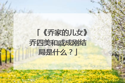 《乔家的儿女》乔四美和戚成刚结局是什么?